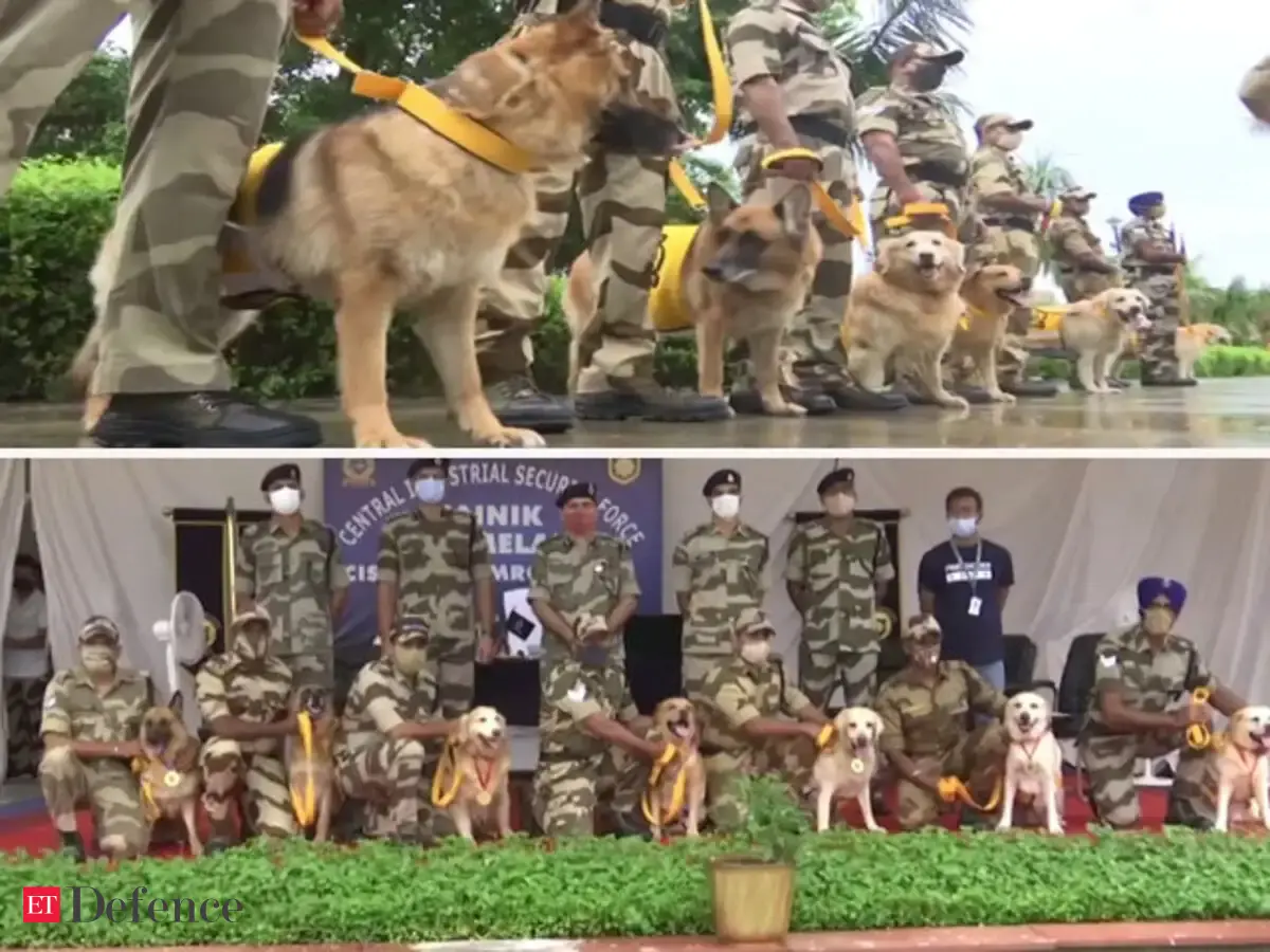 Watch: CISF’s Seven sniffer dogs serving at DMRC retired after 10 years ...