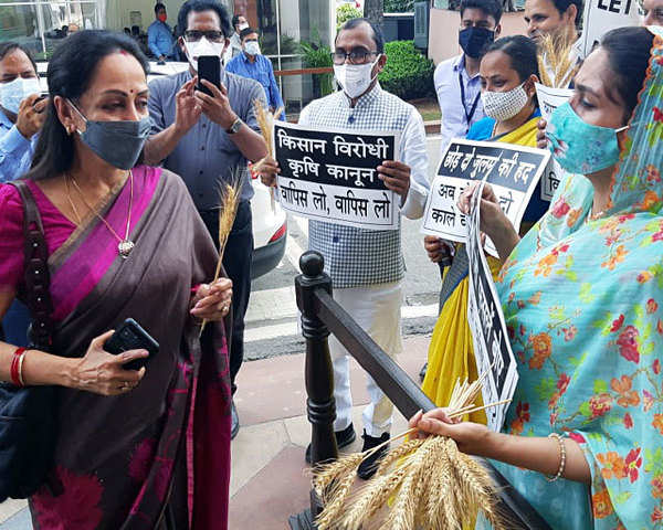 Watch: Harsimrat Kaur offers wheat strands to Hema Malini in protest  against three farm laws - The Economic Times Video | ET Now
