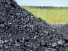 Adani Group, Prakash Industries, Shreesatya preferred coal mine bidders on Day 3