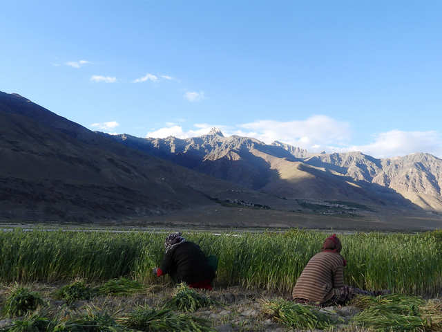 ​'Swachh Ladakh Swasth Ladakh'