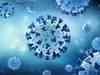 SARS-CoV-2 antibodies remain stable or increase seven months after infection: Study