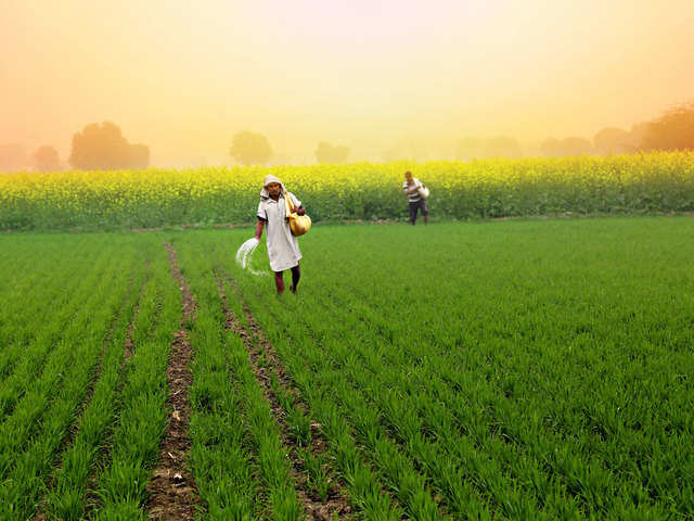 Rise of the agricultural sector