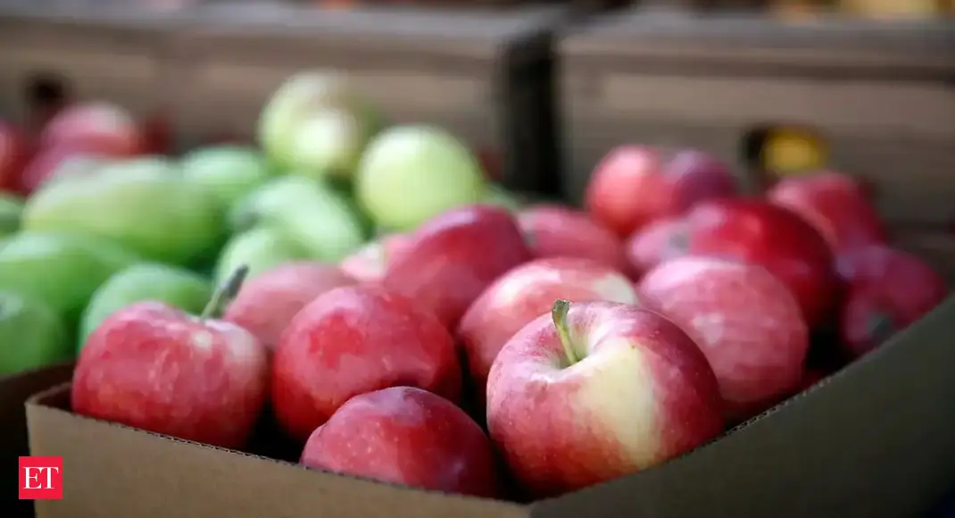 Apple varieties India exports first consignment of five unique