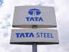 Tata Steel interested in acquiring Vizag-based RINL: CEO T V Narendran