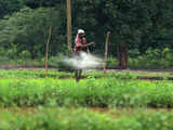 Fertiliser sales likely to remain marginal lower in FY22: ICRA