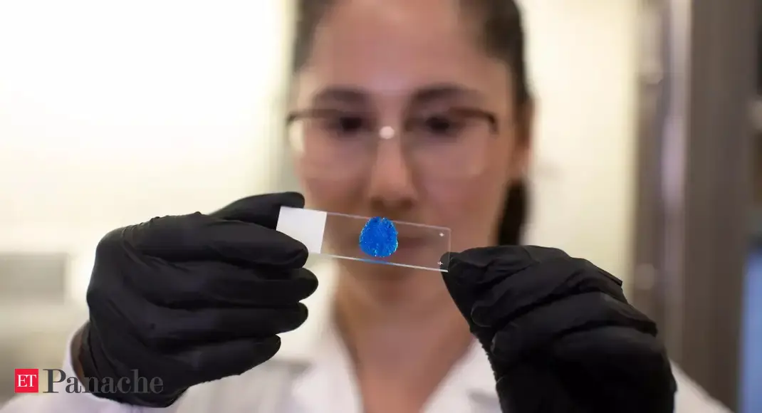 Scientists find unique way to test potential treatment by 3D scanning a chunk of cancer patient's tumour - Vimarsana News