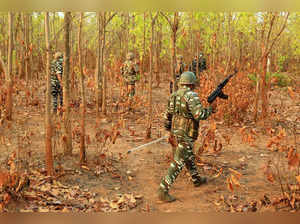 East Singhbhum: CRPF personnel during a combing operation against naxal activiti...