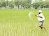 Sowing area of kharif crops 1.55 pc lower than last year so far: Govt data