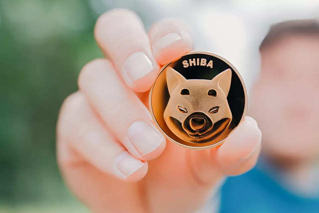 1. Shiba Inu - Dodge that Dogecoin and 6 other cryptocurrencies before it  is too late | The Economic Times