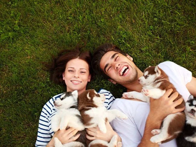 81% millennials on dating app find stray animal rescuers impawssible to  resist - The Economic Times