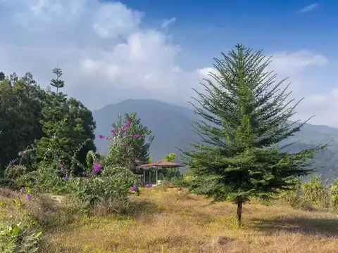 ​How green is this valley