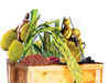 Export debutants: India has recently exported over a dozen new agri-products, from Himalayan millet to Assam’s red rice
