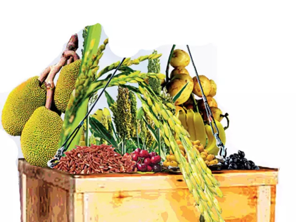 Export debutants: India has recently exported over a dozen ...
