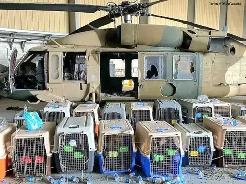​Airlifted
