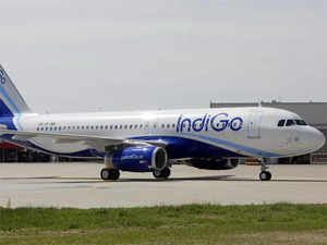 indigo-bccl