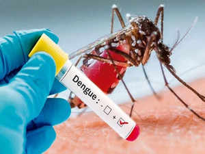 Viral_fever_suspected_dengue_engulfs_Firozabad__death_toll_now_44__Mathura_too_sees_death_of_10_chil.