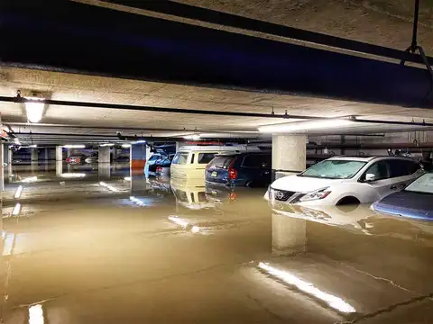 ​Drowned in their cars