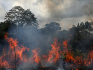 Amazon forest fire Reuters