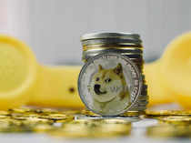 Dogecoin, a dark horse among cryptocurrencies?