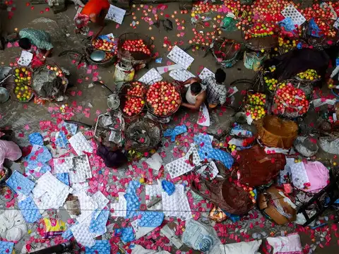 Fruits swept by flood water
