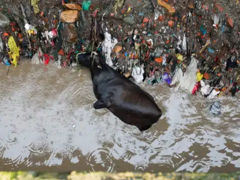 Swollen Bishnumati River in Nepal