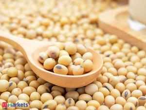 Soyabean futures fall on rumours about soyameal imports