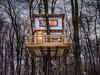 From luxury to rustic, treehouses are making a comeback in the pandemic