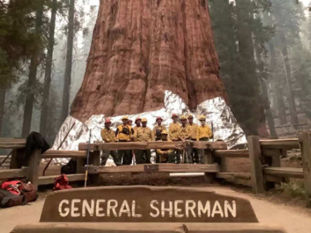 ​Protecting General Sherman