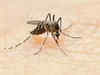 Centre convenes high-level meeting on Serotype-2 dengue cases in 11 states