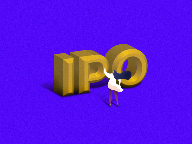 Startup IPO launch