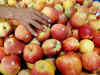 Himachal Apple growers demand govt support as farm-gate prices fall to a 10-year low