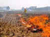 Stubble burning: Central commission directs 11 thermal plants around Delhi to co-fire biomass pellets