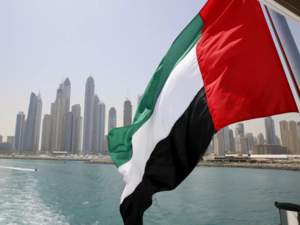 UAE flag