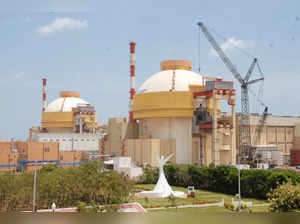 Nuclear plant