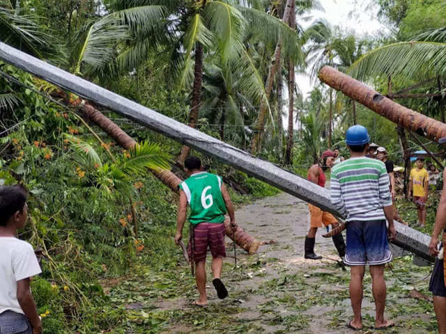 ​Heavy rain, uprooted trees