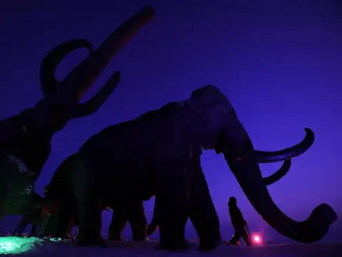 Elephant-Mammoth hybrid