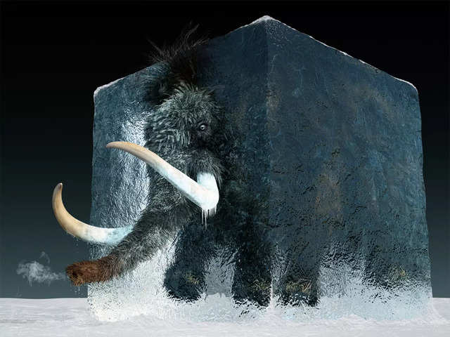 Bringing back the Woolly Mammoth: Can extinct species be resurrected? -  Elephant in the room | The Economic Times