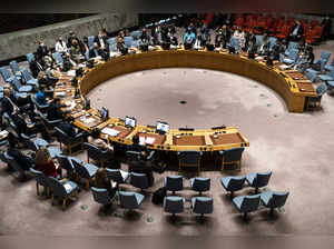 UN General Assembly Security Council