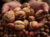 First consignment of Kashmiri walnuts leaves for Karnataka
