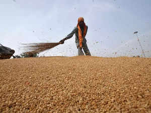 wheat-reuters