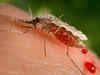 Mosquirix: World's first malaria vaccine approved by WHO