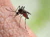 Bharat Biotech to produce world's 1st malaria vaccine approved by WHO