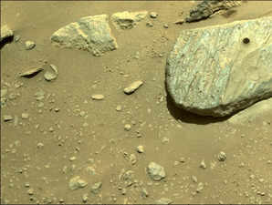 On Mars, NASA's Perseverance Rover Drilled the Rocks It Came For