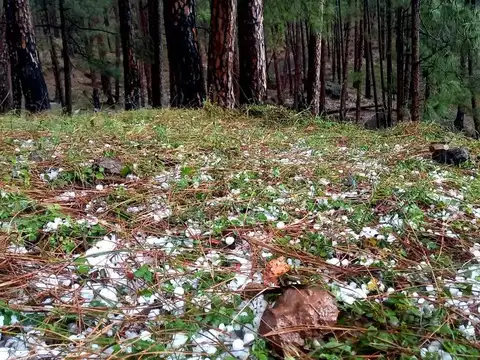 ​Hail, rain in Udhampur