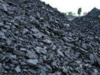 Coal India suspends e-auction as coal crisis deepens, metal makers face a shortage
