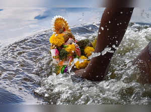 New Delhi: A devotee immerses an idol of Ganesh in Yamuna river on the last day ...
