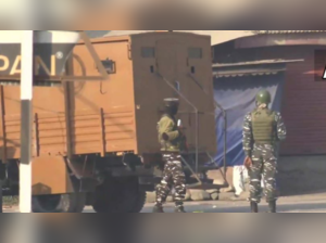 J&K: 2 terrorists suspected in cops' killings gunned down in Pampore encounter