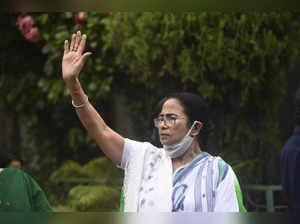 mamata bccl