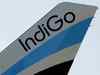 IndiGo net loss widens, but says demand better