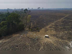 Brazil Climate Brazil Deforestation